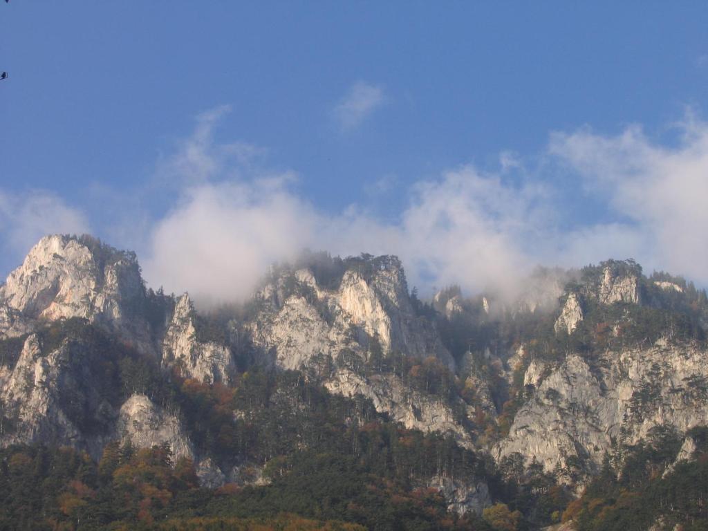 Hotel Marienhof Reichenau Dış mekan fotoğraf