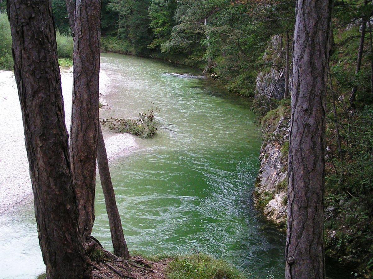 Hotel Marienhof Reichenau Dış mekan fotoğraf